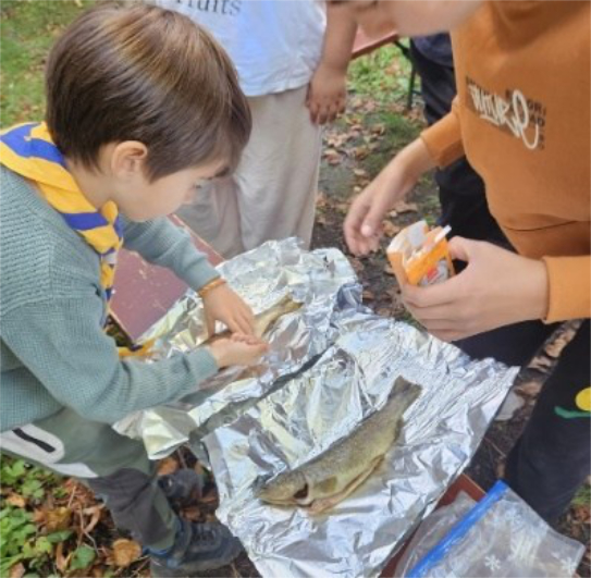 Forellen werden zubereitet